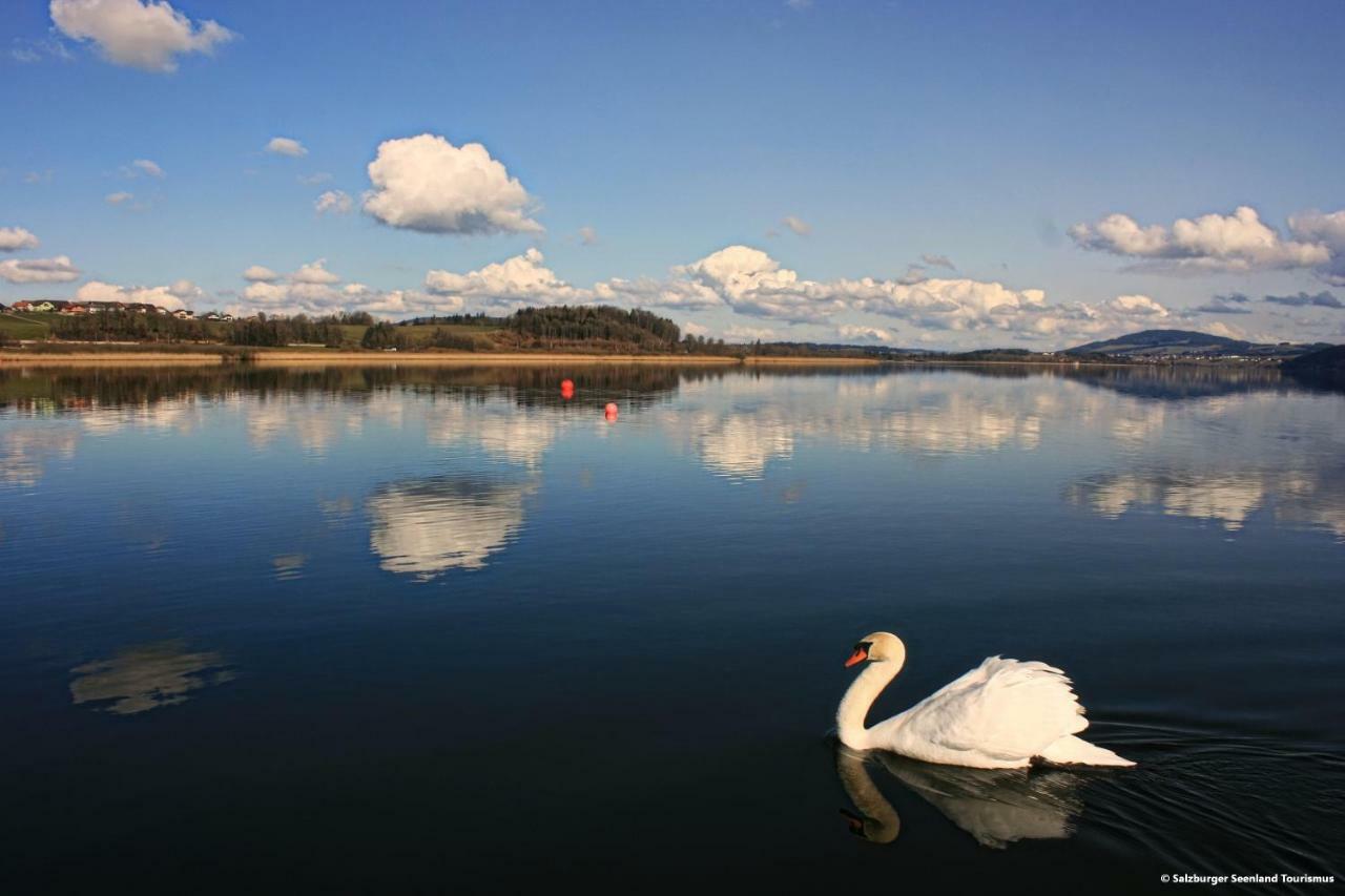 Pp-Camping Wallersee 제키르헨 암 발레르제 외부 사진